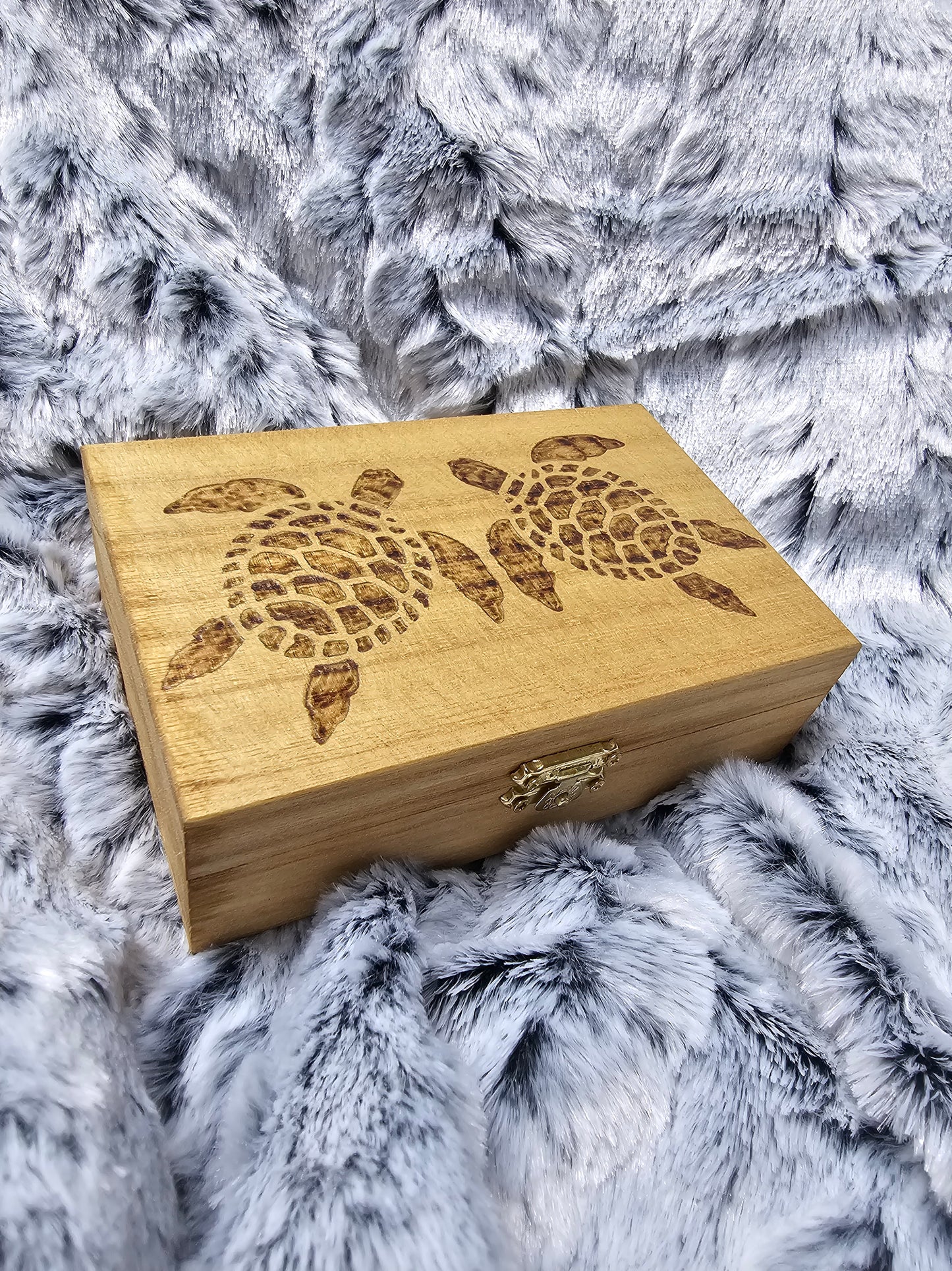 Twin Turtles